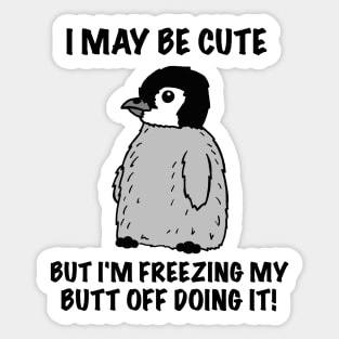 Cute Cold Baby Penguin Sticker